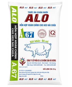 A67 - Hỗn hợp hoàn chỉnh cho heo nái chửa