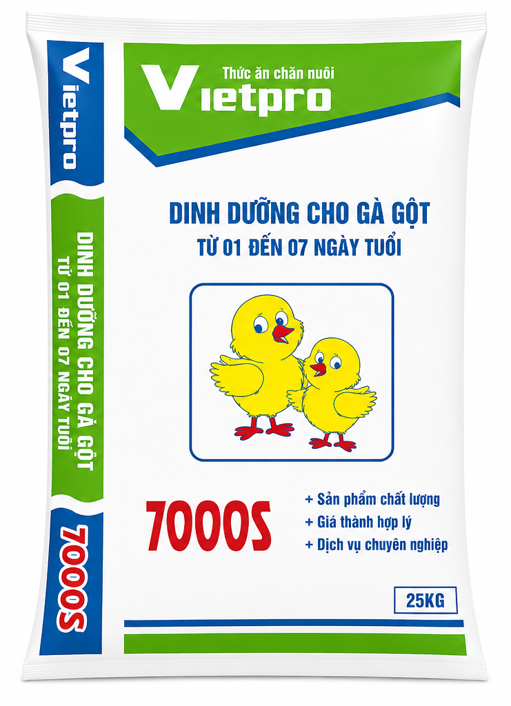 7000S - Dinh dưỡng cho Gà gột từ 01 đến 07 ngày tuổi