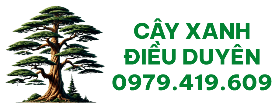 CÂY CẢNH ĐIỀU DUYÊN